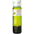 Choya With Fruit Umeshu 750ml