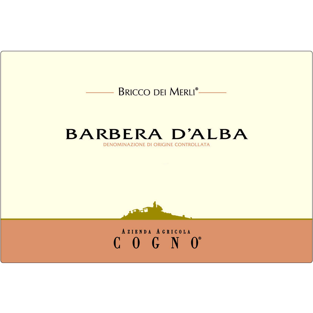 Elvio Cogno Bricco Dei Merli Barbera D'Alba 750ml