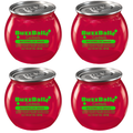 BuzzBallz Watermelon Smash Pre-Mixed Cocktails 4-Pack