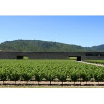 Dominus Estate Red Wine Napa Valley 2021
