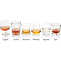 Studio photograph showing six distinct alcoholic spirits: amber cognac in a snifter, dark reddish scotch in a textured rocks glass, golden bourbon, light golden whiskey in a tulip taster glass, clear tequila, and reddish rye, each prominently labeled on a pristine white background